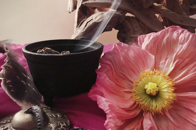 Rauchschale und Mohnblume